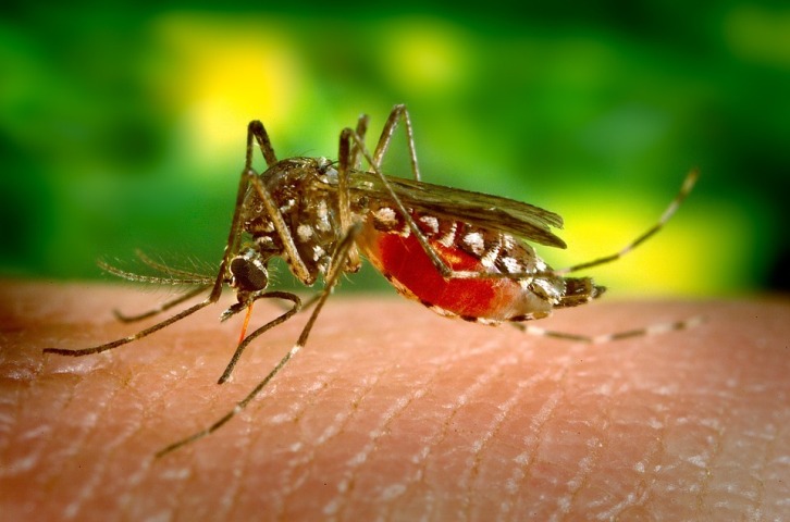  22 laboratory confirmed cases of Zika Virus reported in Jaipur