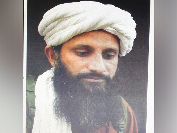 Al-Qaeda's Indian subcontinent chief Asim Umar killed in Afghanistan