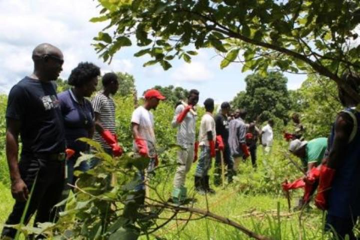 Reforestation first steps towards reintegration for migrants in Guinea-Bissau