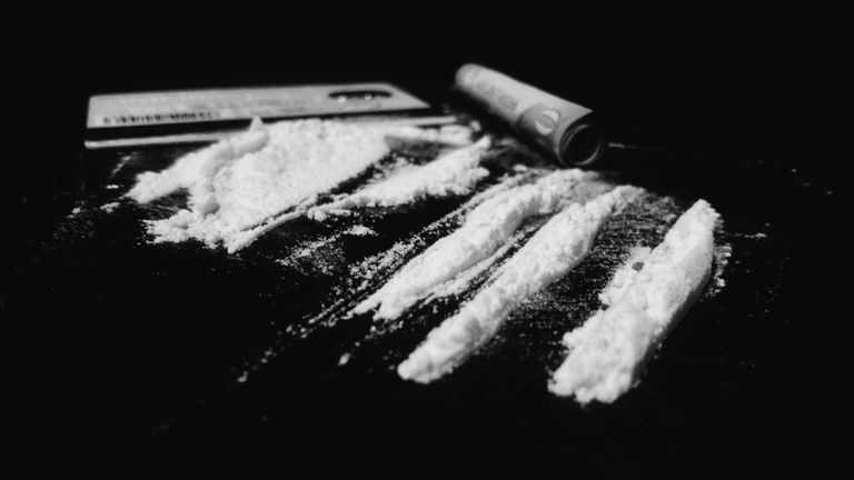Poland seizes record cocaine haul worth half a billion dollars