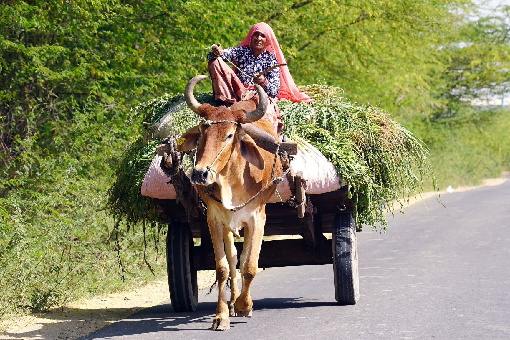 UNDP and Telangana Govt announce Data in Climate Resilient Agriculture 