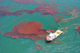 Oil spill in Venezuela stains treasured Caribbean beaches