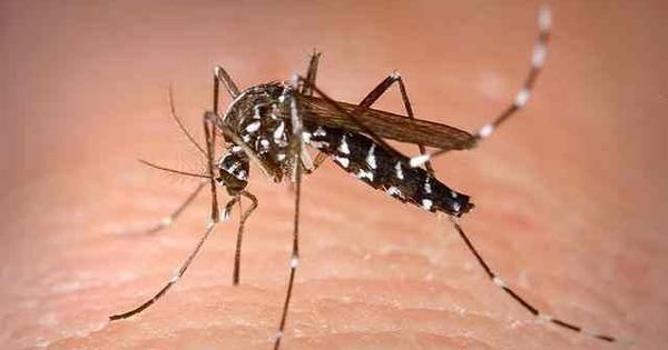 Three pregnant women among people tested positive for Zika virus in Jaipur