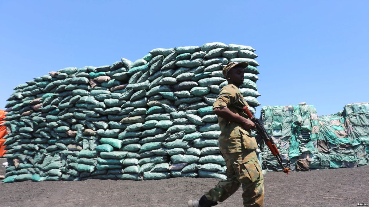 Criminal networks using Iran as transit point for illicit Somali charcoal exports: Monitor