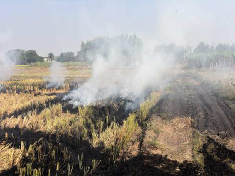 Punjab government directs official to stop stubble burning 