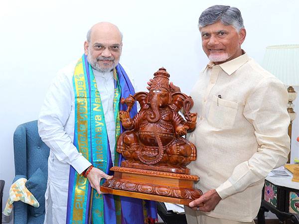 Chandrababu Naidu Engages in Strategic Talks to Boost Andhra Pradesh's Growth