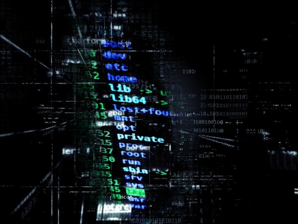 Ukraine says exposes group of international banking hackers