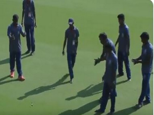 Snake enters ground, interrupts Ranji cricket match 