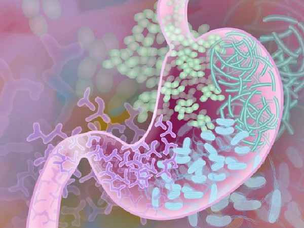 Study investigates impact of drugs on gut microbes
