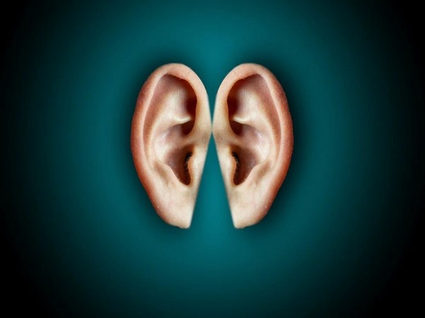 Study advances approaches for long-term hearing loss treatment