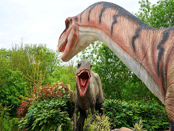 Discovery of new dinosaur teeth reveal what they didn't eat