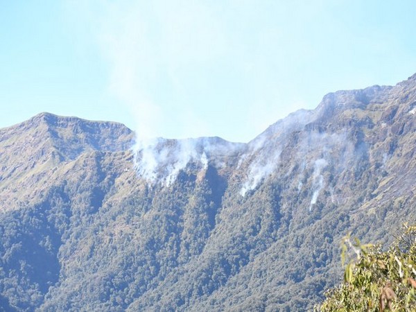 Manipur: Dzukou Valley wildfire brought under control