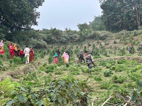 Assam Rifles and Allies Uproot Major Cannabis Crops in Strategic Crackdown