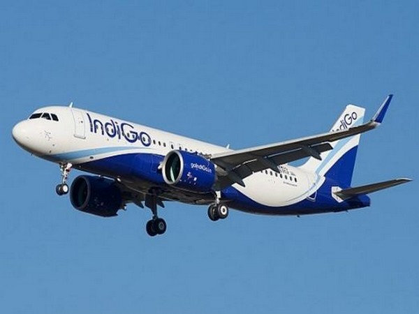 IndiGo to start daily flights on Bengaluru-Jeddah, Mumbai-Kathmandu routes