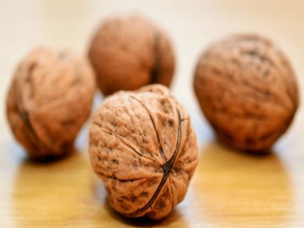 Study: Consume walnut regularly to diminish negative results of H. pylori infection