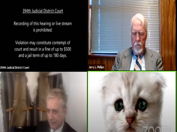 'I'm not a cat': Texas lawyer trapped by cat filter informs judge on Zoom call