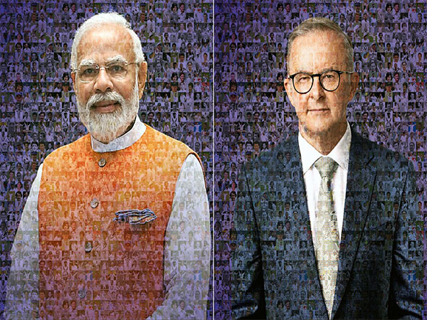 PM Modi, Anthony Albanese gifted collages fashioned by images of Indian, Australian cricketers