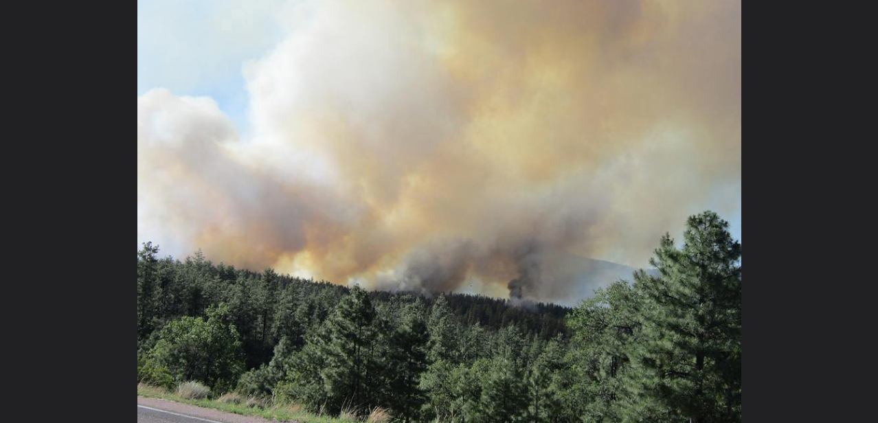 Arizona wildfire destroys 12 homes; 200 people evacuated