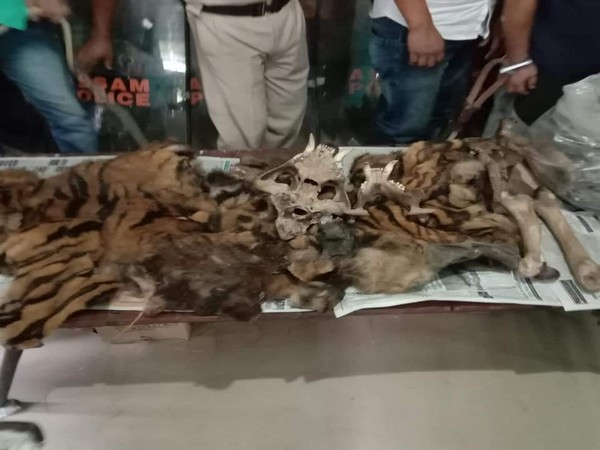Leopard skin seized, 1 held in Odisha