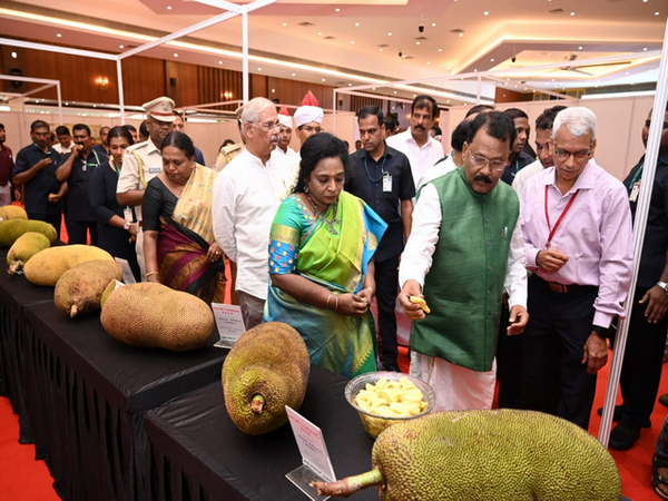 Jackfruit festival inaugurated in Goa by governors of three states