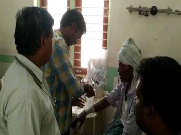 Andhra Pradesh: 15 hospitalised for snake bite in Krishna