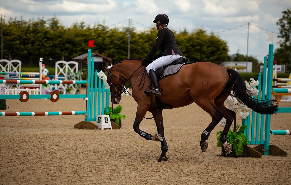 National Equestrian Championship of show jumping from Saturday in