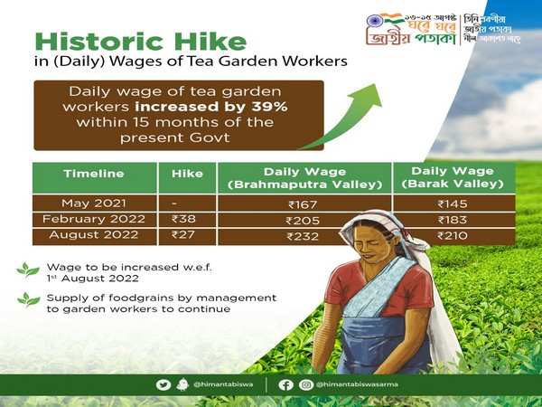 Assam raises daily wage for tea workers