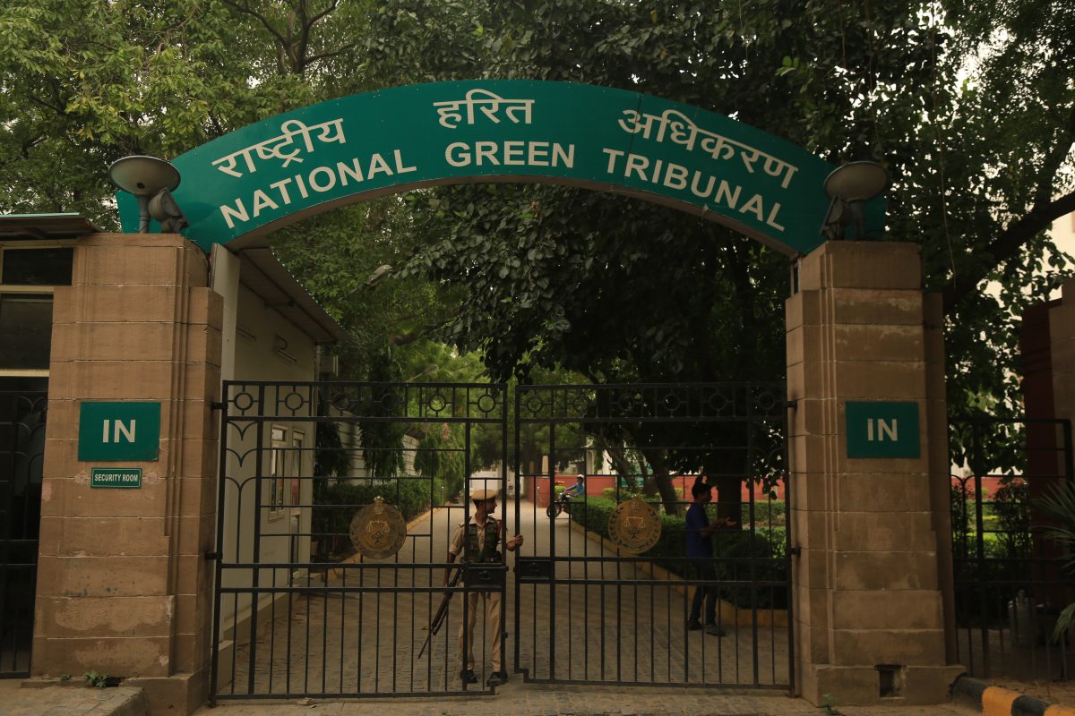 National Green Tribunal directs Kurnool DFO to inquire into alleged tree felling by Reliance Jio