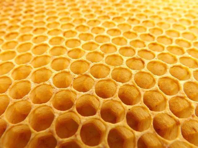 Researchers develop sound absorbing panels mimicking honeycomb's geometry
