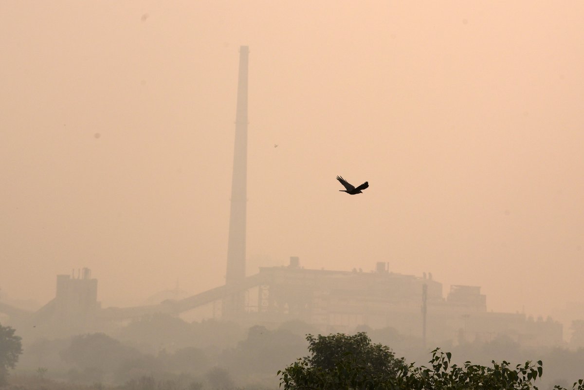 Delhites woke up to cold morning; pollution level goes up to 'severe' category