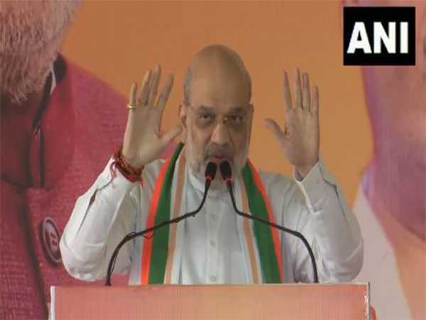 Amit Shah Criticizes Maha Vikas Aghadi's Appeasement Politics Ahead of Maharashtra Polls