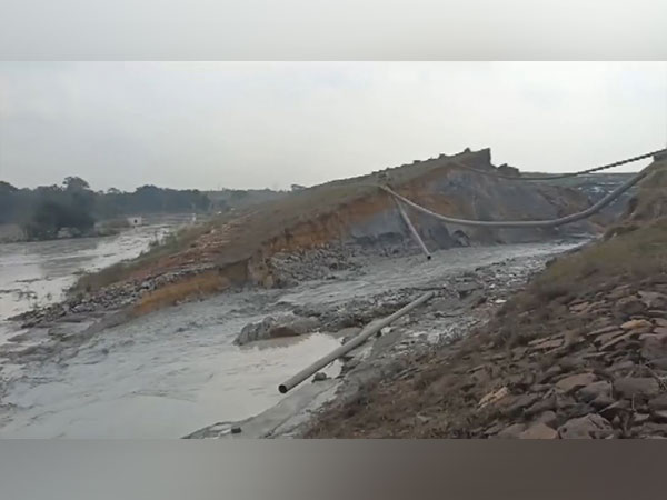 Breach in ash pond at thermal plant floods crop fields in Odisha's Jharsuguda