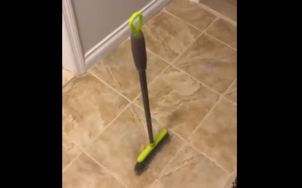 NASA broom challenge: Is 'gravitational pull day' real? Truth behind standing brooms