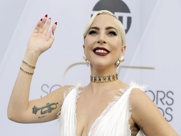 Newly discovered insect named after Lady Gaga