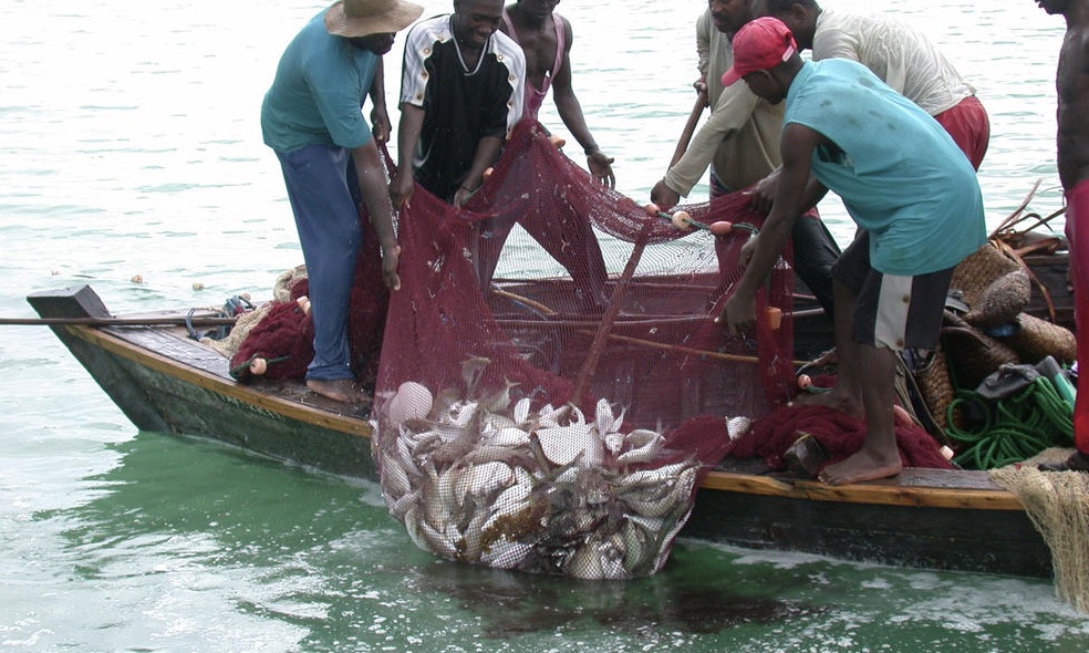 Fisheries, aquaculture project in Malawi gets $13.2mn from AfDB