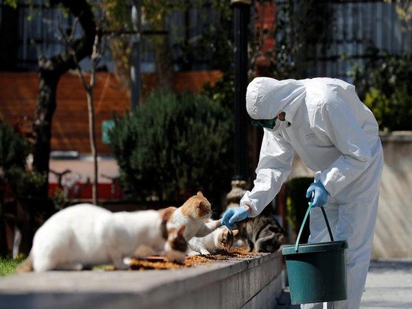 Turkey's daily coronavirus death toll hits record for sixth day in a row