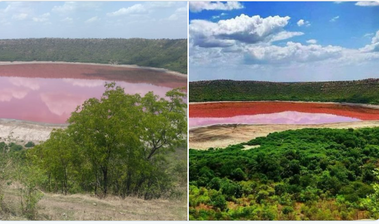 Lonar lake colour changes to pink; experts, locals surprised