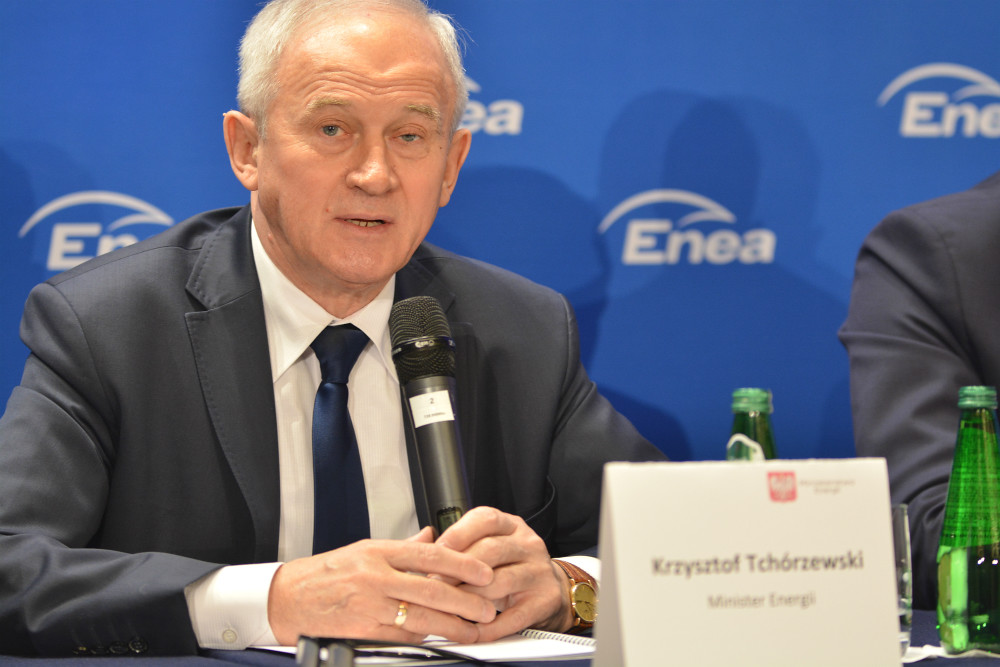 Poland needs 700-900 bln euros to reach zero emissions -minister