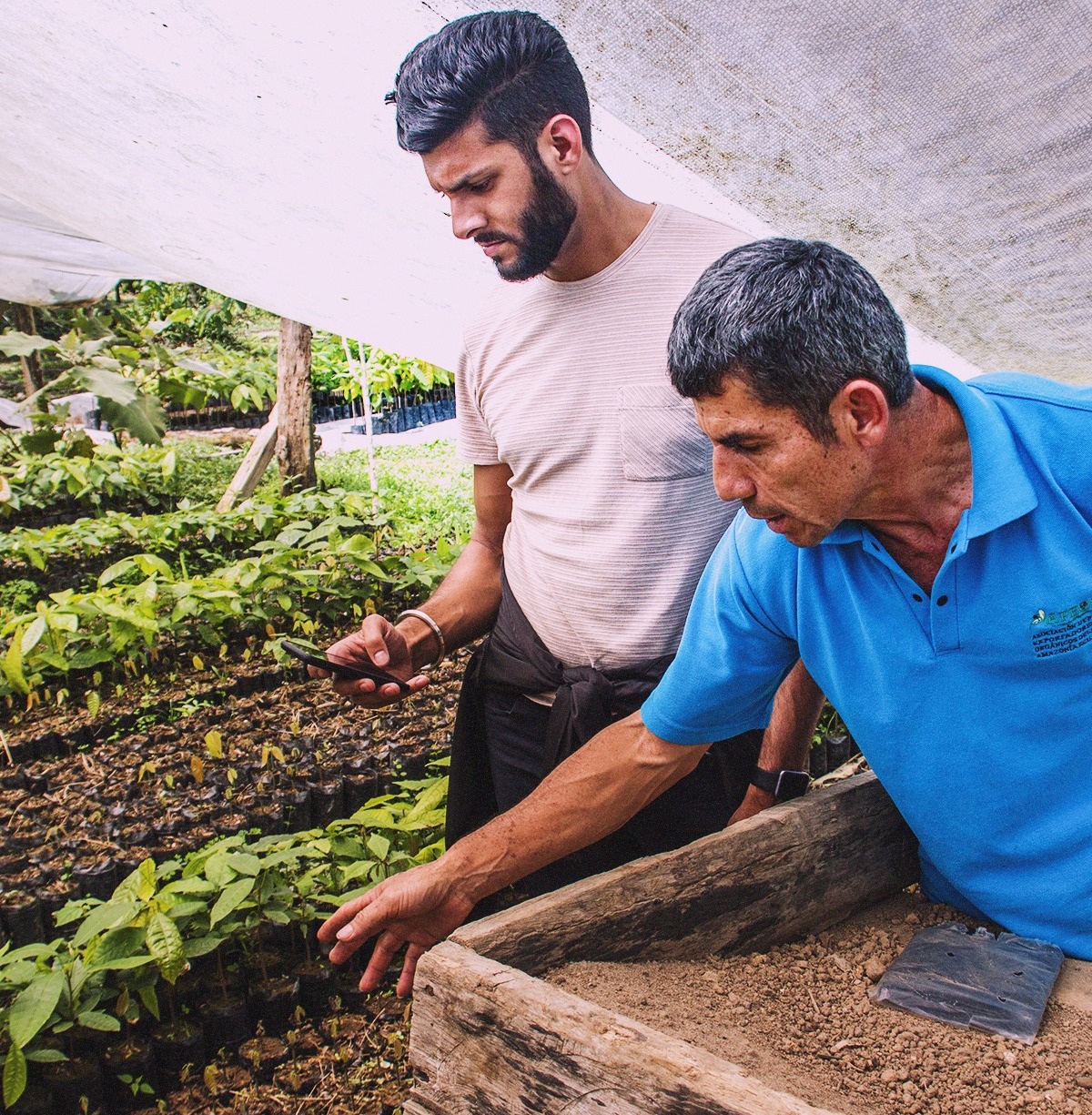 Blockchain-powered token empowering poverty-stricken cocoa farmers