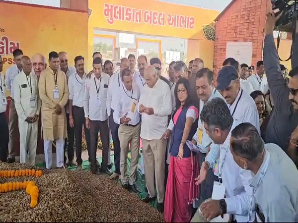 Gujarat Kicks Off Groundnut Procurement Drive Under Price Support Scheme