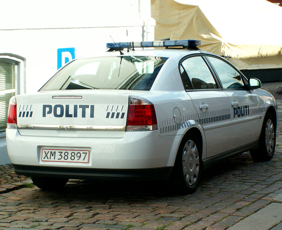 UPDATE 2-Danish police arrest 20 in raids to thwart suspected Islamist attack