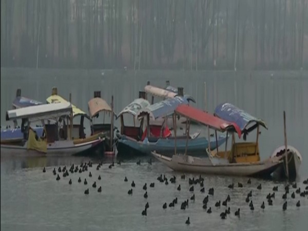 Kashmir Valley Catches Cold, Tourists Embrace Winter Spectacle