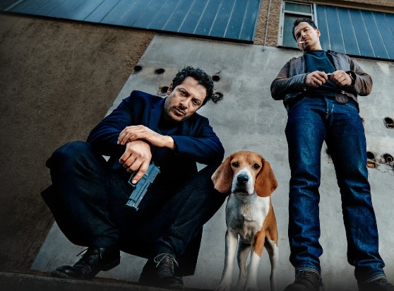 Dogs of Berlin Season 2 renewal possibilities: Can Netflix still renew it after four years? 