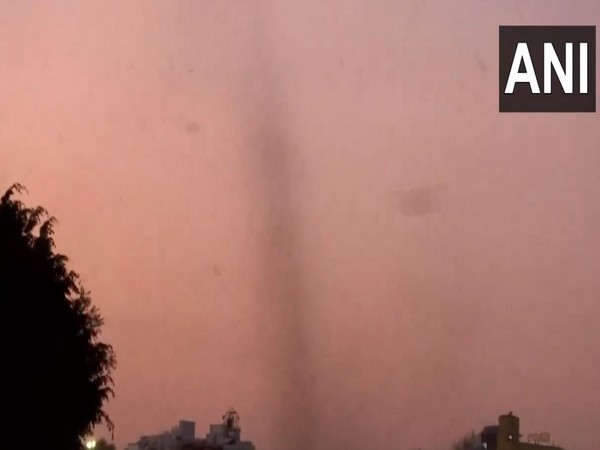 Swarm of mosquitoes form 'tornado' over Pune; video goes viral