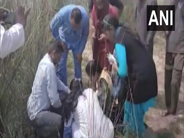 Haryana: Newborn baby found abandoned in bushes; rescued
