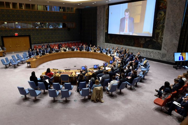 S Africa reaffirms support for India and other members elected to UN Security Council