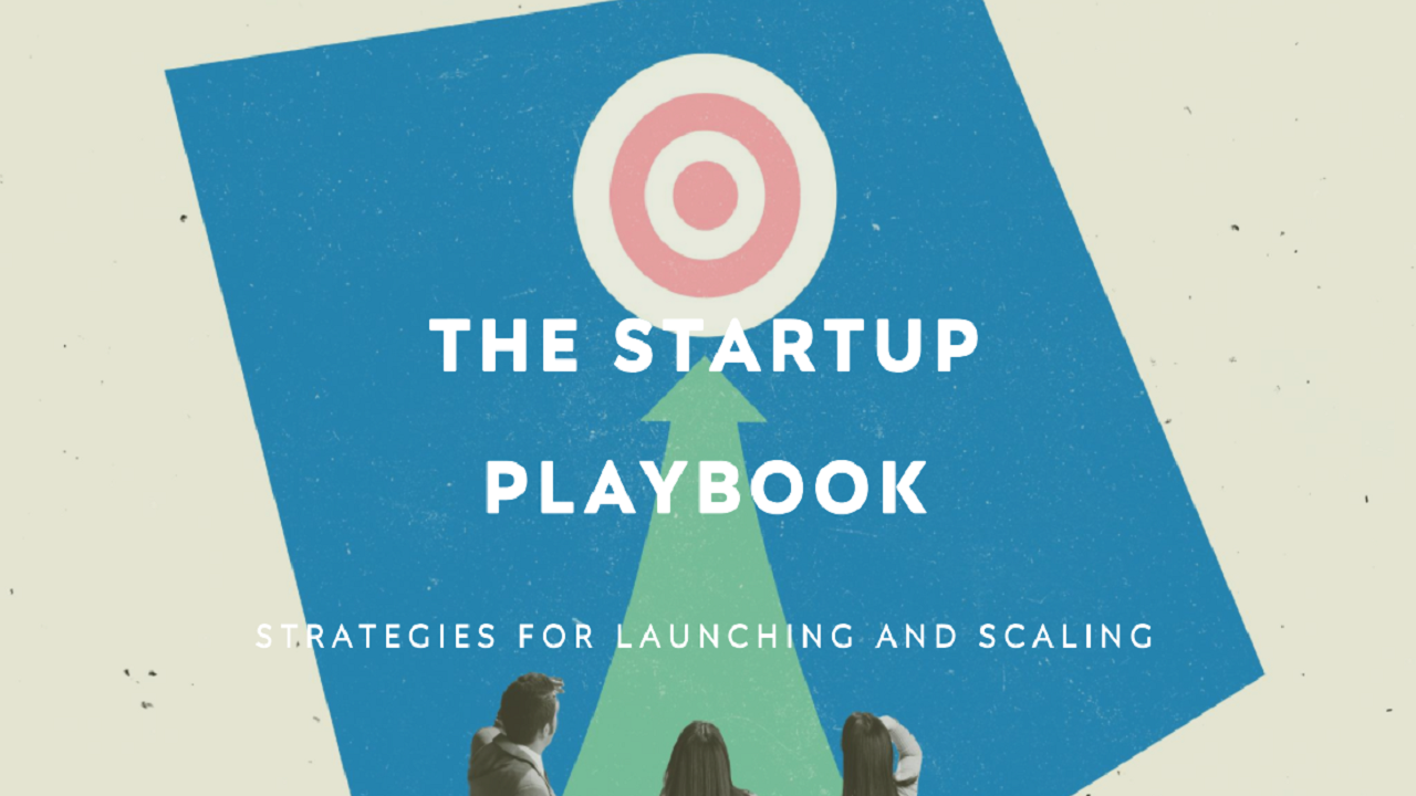 The Startup Playbook: Strategies for Launching and Scaling