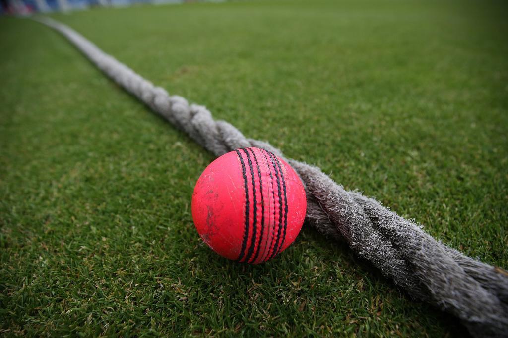 UPDATE 2-Cricket-India exploit Bangladesh's pink chink to lord in Kolkata