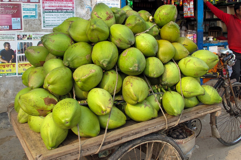 Today's Bengaluru commodities and Mangalore Areca-Coconut markets remain closed for "Second Saturday", a Government holiday