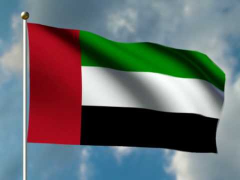 UAE slams 'fierce campaign' against Saudi Arabia will bear "dire" consequences